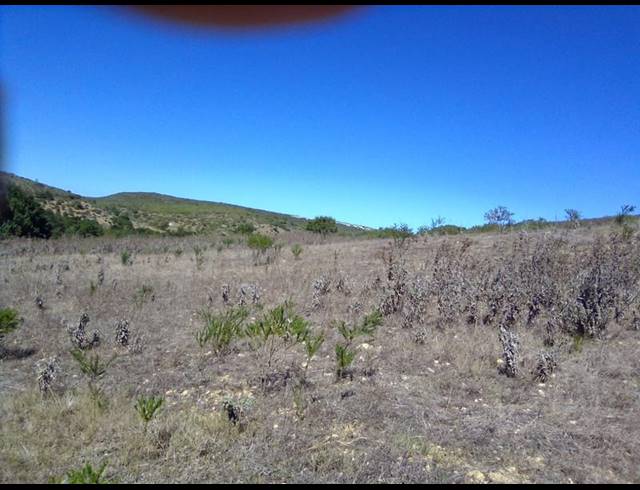 FARM FOR SALE IN STILBAAI RURAL